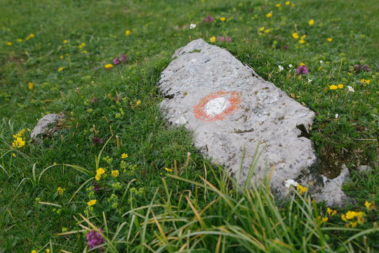 Close up of the Round Trail marker on a rock inMountains, European Alps