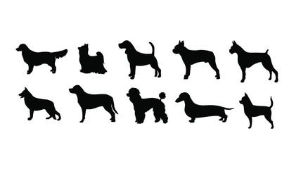 10 Dog Breeds