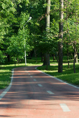Bicycle road in the park. Summer active vocation. 