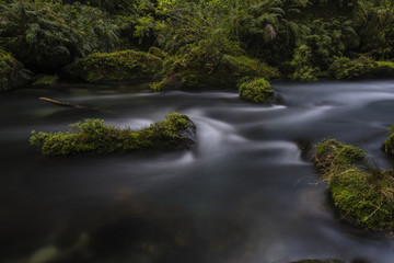 Fototapeta na wymiar New Zealand river