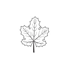 Vector outline grape leaf.