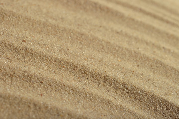 Fototapeta na wymiar Beach sand as background texture