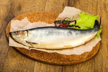 Herring fish