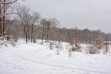 Snowy landscape with Nordic ski run, in a gray winter day