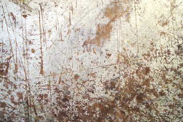 Old light cut wood surface. Texture