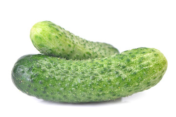 Fresh cucumber