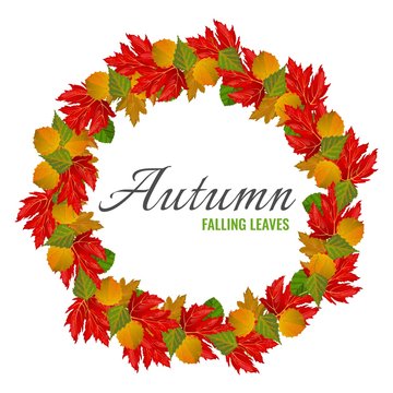 Autumn falling colorful leaves in big circle poster