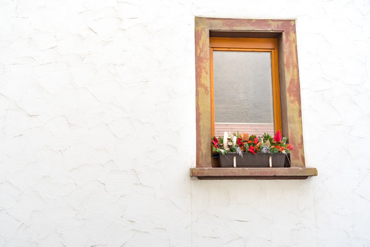 Flower Box Window
