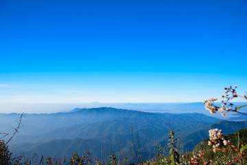 Fog and cloud landscape