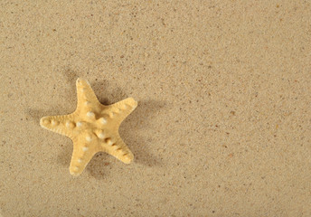 Fototapeta na wymiar Starfish on a sand background