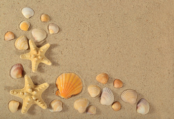 Starfishes and seashells close-up on a sand
