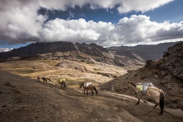 Foto op Canvas Paesaggio di montagna, Cusco, Perù © David Pellicola