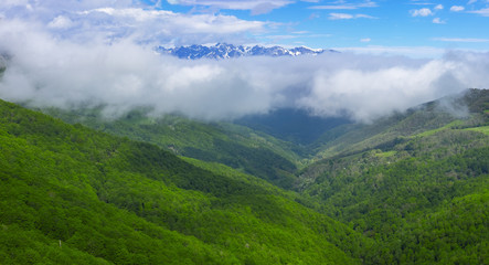 Naklejka premium Forest and mountains from Viewpoint of Piedrasluengas in the Natural Park of Fuentes Carrionas, province of Palencia