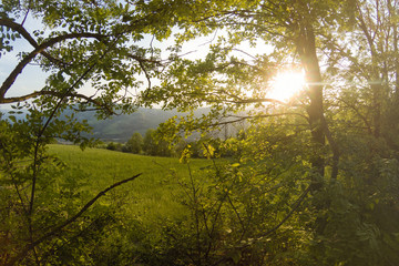 Via degli Dei, Bologna Firenze