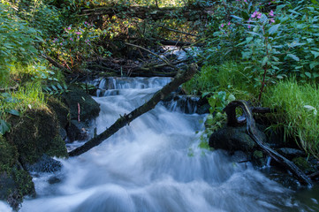 Klärwerksabfluss