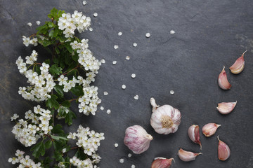 Early summer white  flower blossoms with pink garlic on slate with copy space