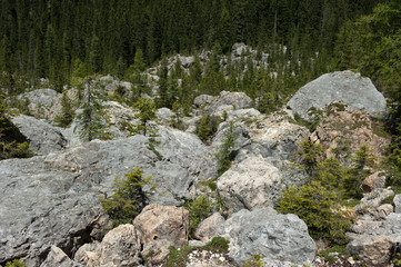 Labyrinthsteig oder Agatha Christie Weg am Latemar