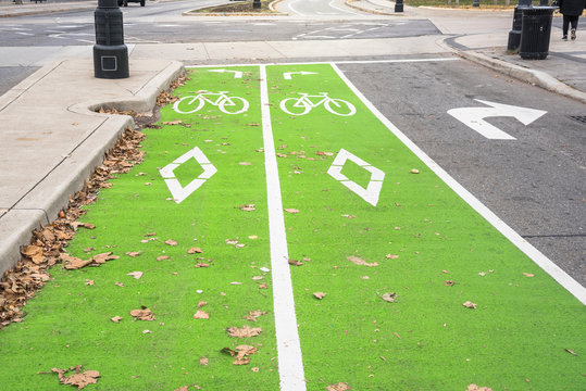 Fototapeta Two Lane Bicycle Path along a Urban Road on a Autumn Day. Ecological Means of Transport