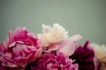 Fototapete Pfingstrosen Pfingstrosen  © ilfotokunst