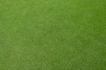 Golf green field