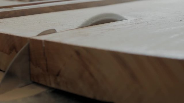 woodworker rip cut saws ash plank on a table saw. joiner. carpenter. 4k