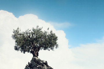 Lonely tree on rock top. Mixed media