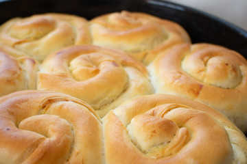 Baked snack with stuffing with golden crust. Traditional moldavian food called platzinda