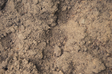 Abstract background of brown ground closeup