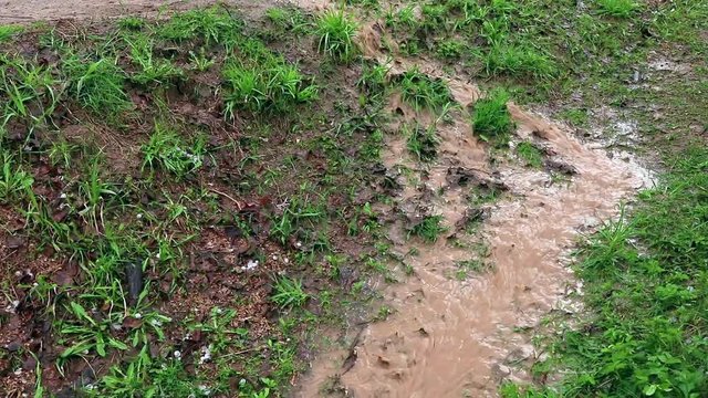 Water stream after rain