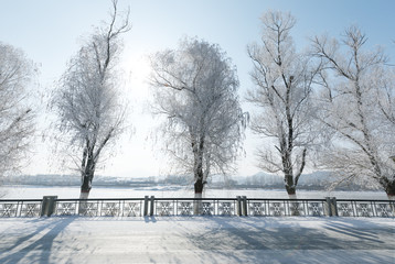 a scenic cold winter landscape with snow and trees