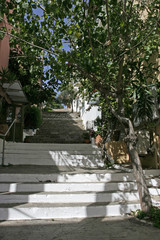 The stairs in shadow among houses and the tree in the small town in the summer.