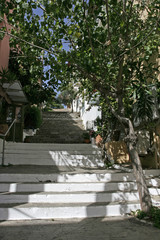 Fototapeta premium The stairs in shadow among houses and the tree in the small town in the summer.