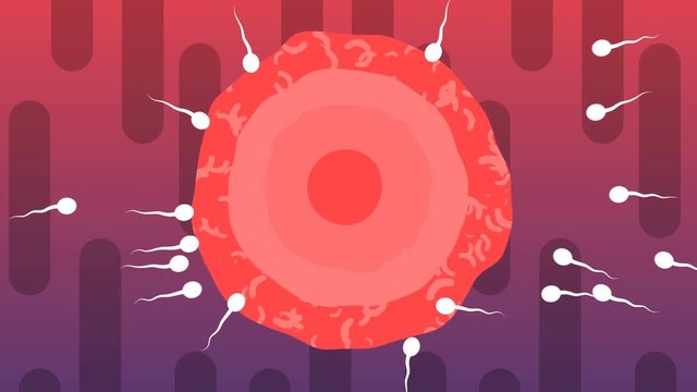 An optimistic 3d rendering of competing white spermatozoids encircling big red ovum from all sides in the violet and purple background. One of them wins and turns into a champion.