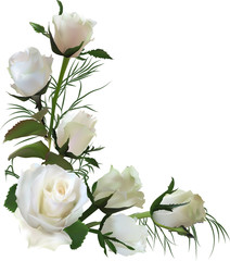 corner from white seven roses