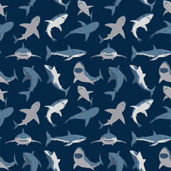 Obraz premium Wektor ilustracja ząb pływanie zły rekin zwierzę ryba morska charakter podwodny ładny morskiej przyrody maskotka wzór tła.