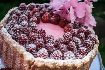 Delicious french pastry 