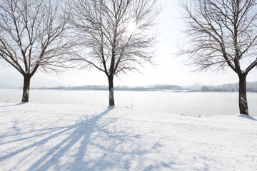 a scenic cold winter landscape with snow and trees