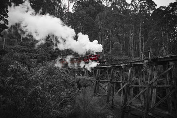 Railway Australia, Melbourne - Buffing Billy 
