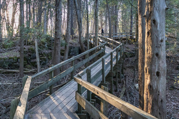 Crawford Lake Boardwalk