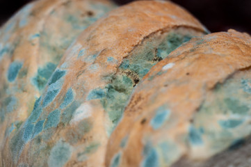 bread with mold