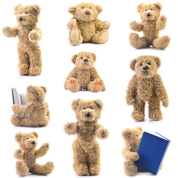 Naklejki Teddy bear isolated on white background