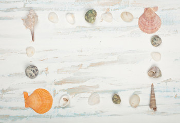 Fototapeta na wymiar Seashells frame on wooden background