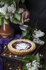 homemade rhubarb and blueberry pie