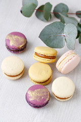 French macaroon dessert and flowers eucalyptus on a white background. pastel colors