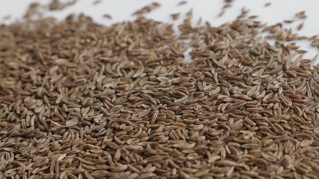 Lot of meridian fennel seed close-up video