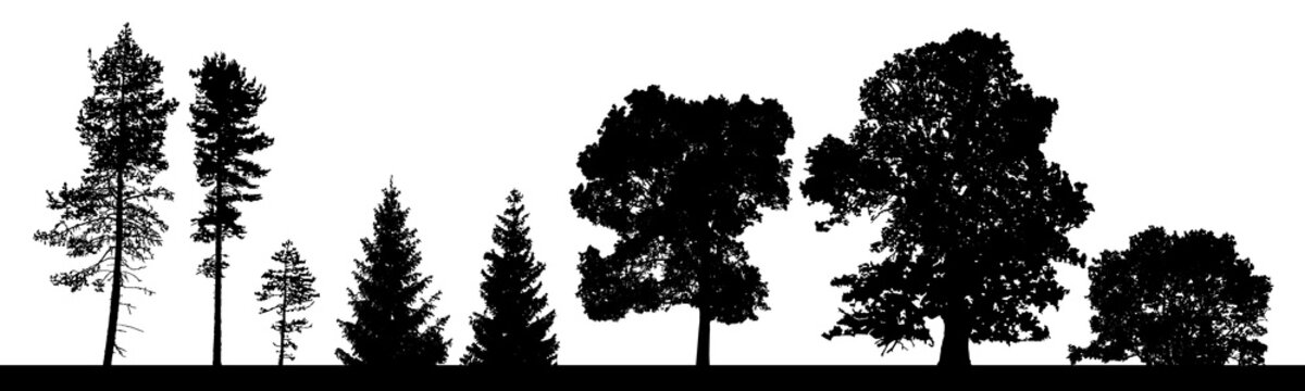 Vector silhouettes set of coniferous and deciduous trees ans bushes.