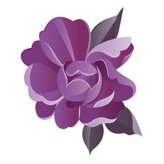 violet flower vector watercolor illustration