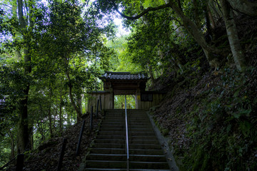 Obraz premium 鞍馬 奥の院