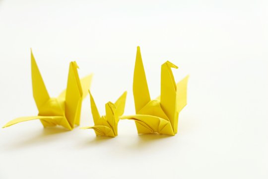 origami yellow bird family on white background.