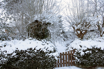 Winter auf dem Dorfe